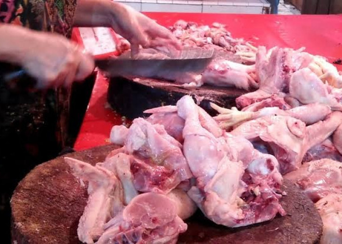Jelang Lebaran Harga Beras dan Daging Ayam Naik, Cabai Merah dan Minyak Goreng Turun