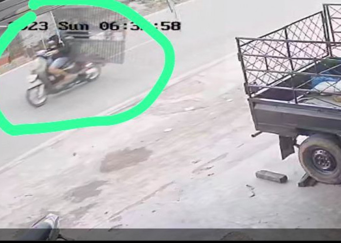 Pencuri Pagar Kelurahan di Kota Bengkulu Terekam CCTV, Pelaku Berhasil Ditangkap