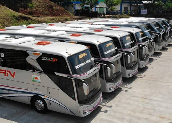 10 PO Bus Terkaya di Indonesia, PO SAN yang Ada di Bengkulu Juga Masuk Daftar