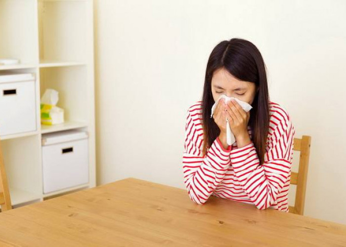 Inilah 8 Obat Herbal Sinusitis yang Aman dan Efektif