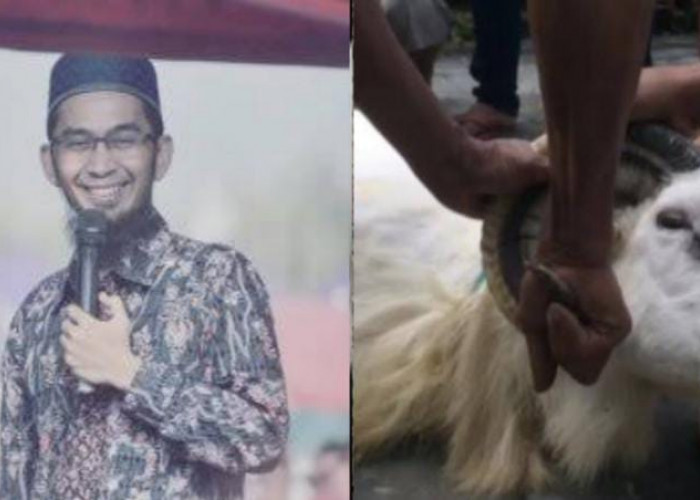 Bolehkah 1 Ekor Kambing untuk Kurban Satu Keluarga? Ini Kata Ustaz Adi Hidayat