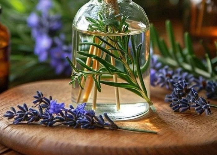 Kenali 9 Minyak Lavender Untuk Kesehatan yang Jarang Diketahui