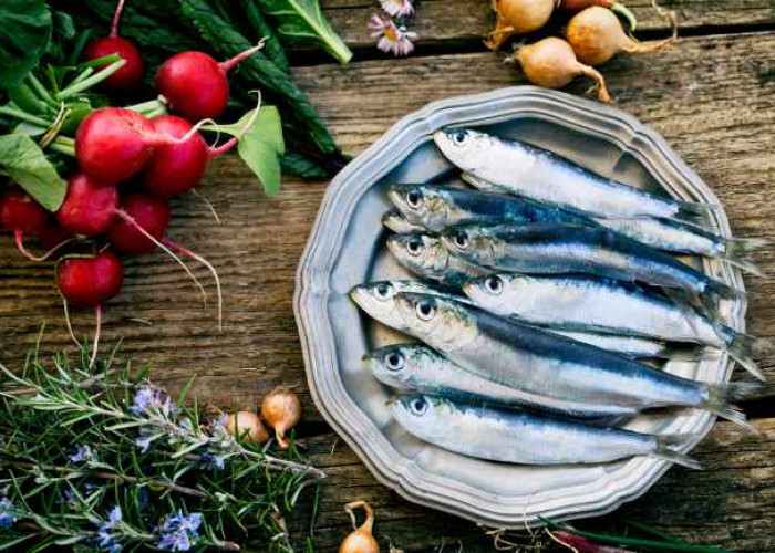Menilik Beragam Manfaat Ikan Sarden yang Perlu Diketahui