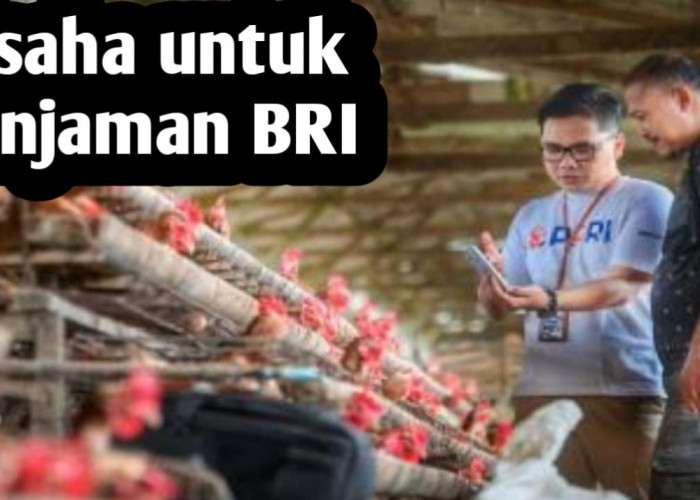 10 Jenis Usaha yang Menjadi Prioritas Mendapatkan Pinjaman dari BRI