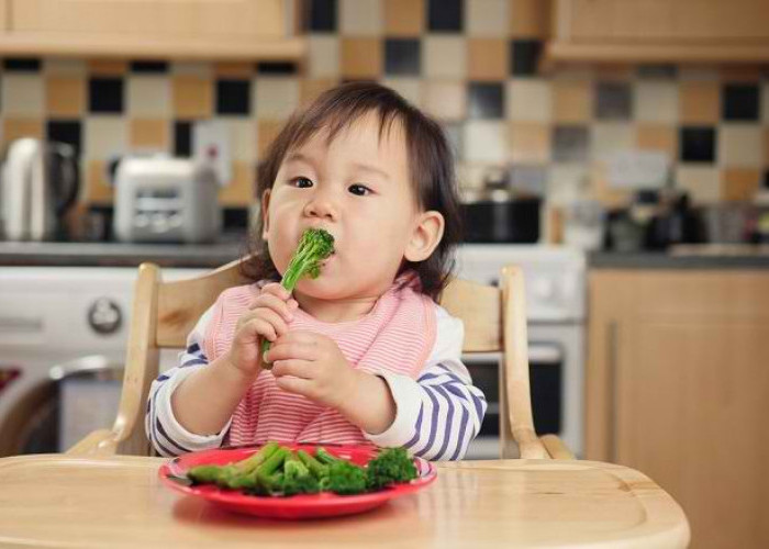 Bisa Dicoba! Pilihan Makanan Sehat untuk Bayi Berusia 4–12 Bulan