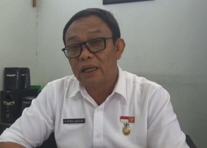 Kebakaran Hutan dan  Lahan di Bengkulu Meningkat, Capai Seribu Haktare Tahun 2025