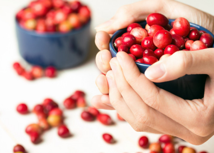 Buah Cranberry Berkhasiat untuk Ibu Hamil hingga Kesehatan Miss V