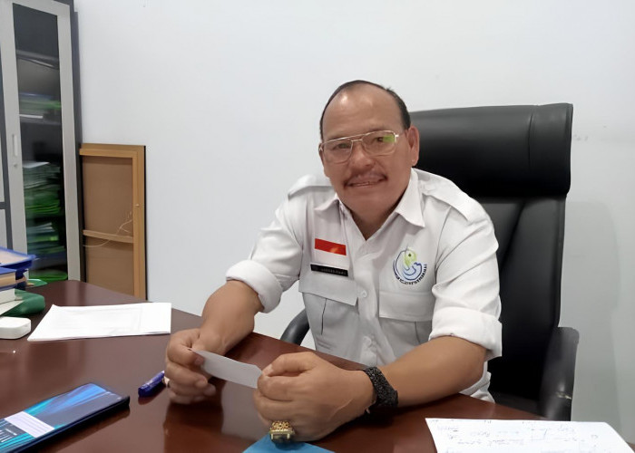  DKP Imbau Nelayan Luar Tak Tangkap Benih Lobster di Perairan Bengkulu