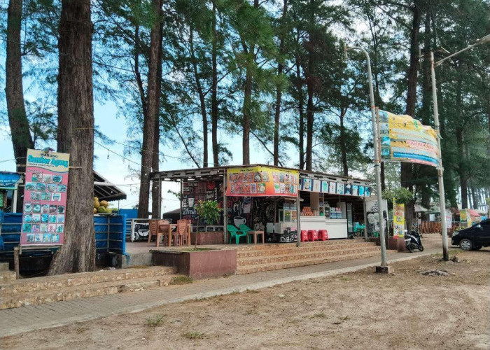 Izin Kedaluwarsa! Pemkot Bengkulu Siap Tertibkan Lapak di Sepanjang Pantai Panjang