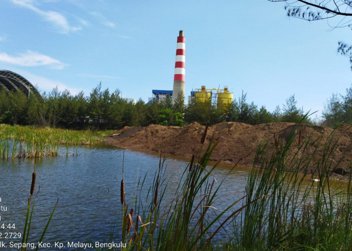 KLHK Dinilai Cuci Tangan, Lahan Pembuangan Limbah PLTU Dikeluarkan dari Kawasan TWA Pantai Panjang
