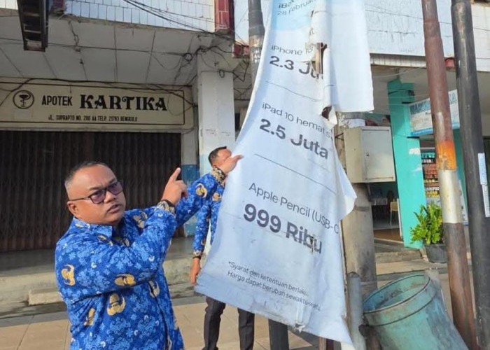 Satpol PP Kota Bengkulu Cabut Reklame Ilegal di 'Misi Memburu Reklame'