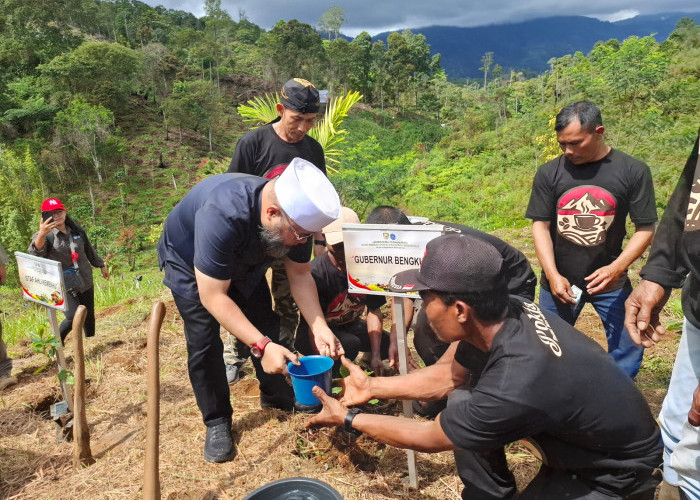 Gubernur Helmi Hasan Launching Penanaman 45 Ribu Pohon Kopi Merah Putih di Lebong 