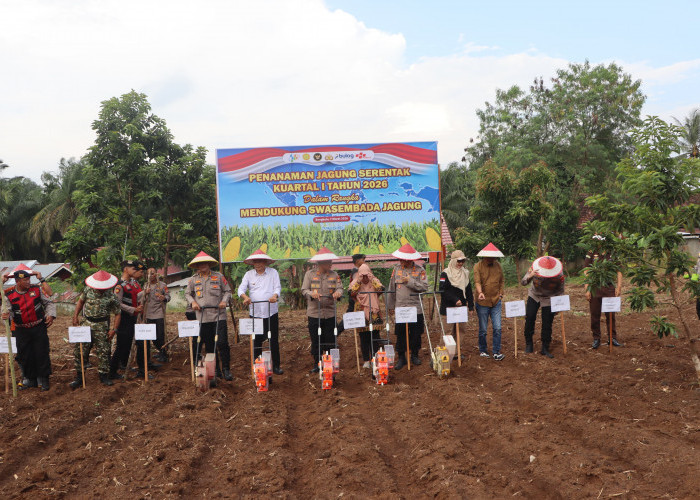Dukung Swasembada Pangan Nasional, Kapolda Bengkulu Gelar Tanam Raya Jagung 