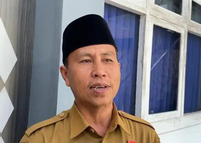 Nasib PPPK Paruh Waktu di Bengkulu Menggantung, BKD Tunggu Kepastian Pusat