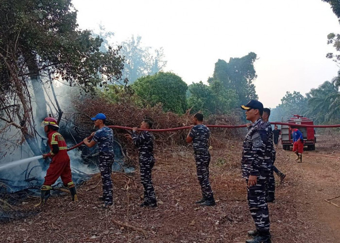 Lanal Bengkulu Bersama Damkar, BPBD hingga Polda Padamkan Kebakaran Muara Dua
