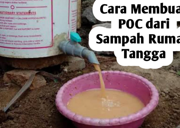 Cara Membuat Pupuk Organik Cair dari Sampah Rumah Tangga