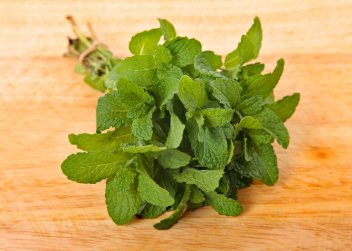 Serupa Tapi Tak Sama, Ini Perbedaan Peppermint dan Spearmint yang Kaya Manfaat