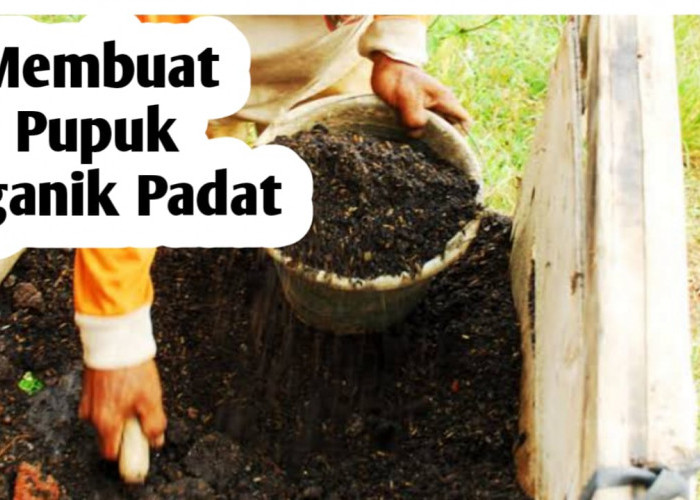 Cara Mudah Membuat Pupuk Organik Padat, Simak Penjelasan Berikut Ini