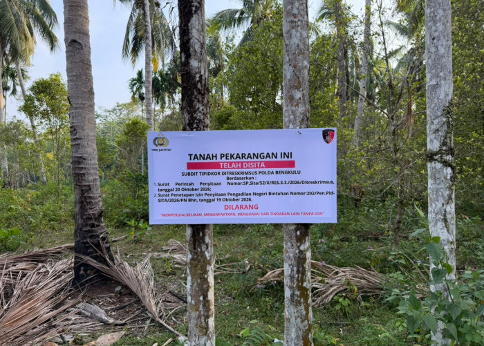 Polda Bengkulu Sita Dua Bidang Tanah dari Penelusuran Aset Kasus Korupsi Rekrutmen Non-ASN RSKJ Soeprapto