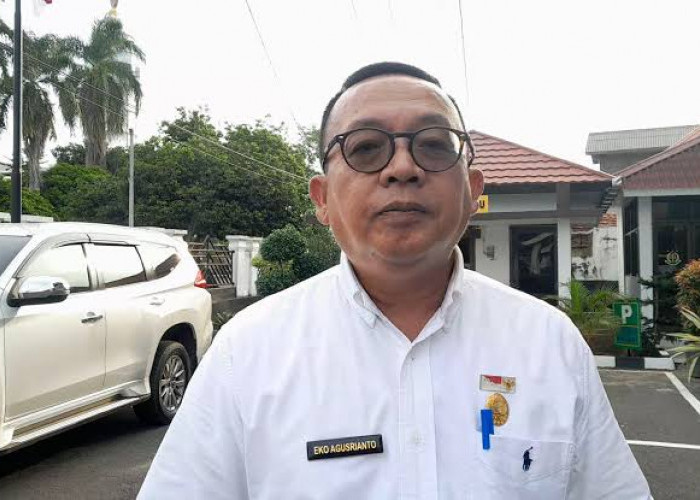 Tak Bisa Masuk Skema P3K, Hampir 300 PTT Pemkot Bengkulu Terpaksa Dirumahkan