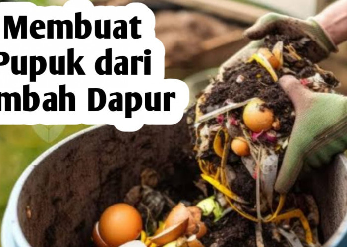 5 Cara Membuat Pupuk dari Limbah Dapur