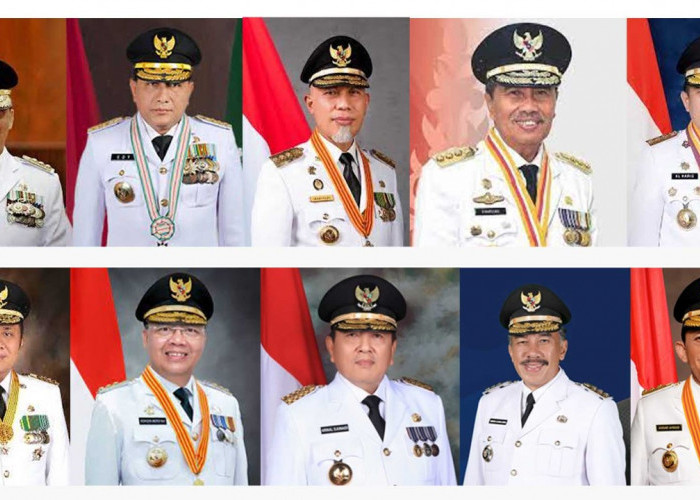 Ini Harta Kekayaan 10 Gubernur di Sumatera, Siapa yang Paling Kaya?