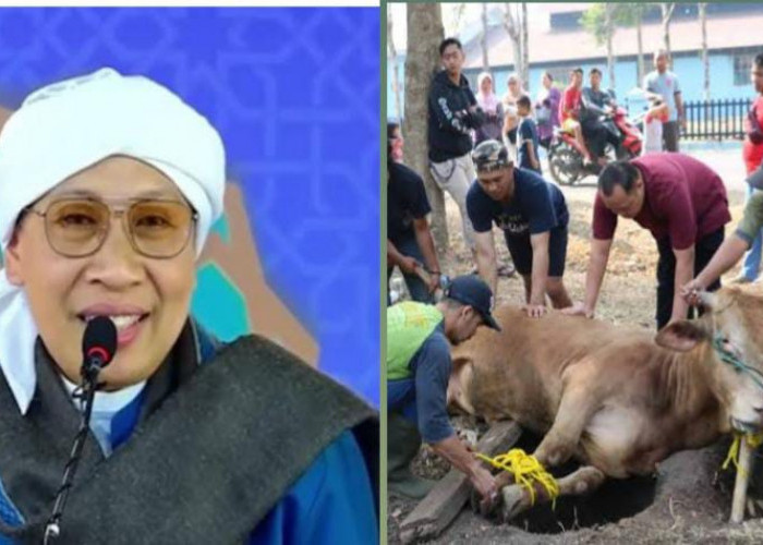 Kurban Idul Adha Apakah Cukup Sekali Seumur Hidup atau Bisa Berkali-kali? Ini Kata Buya Yahya