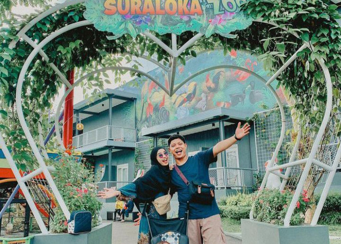 Rasakan Serunya Bermain Bersama Hewan-hewan Lucu di Suraloka Zoo, Yogyakarta
