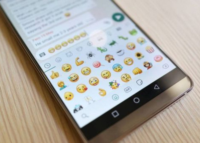 Simak 5 Cara Membuat Tulisan Berwarna di WhatsApp Tanpa Aplikasi 