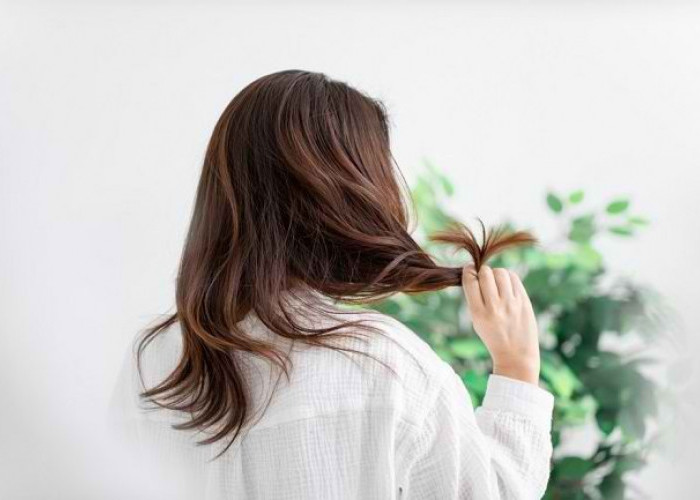 Mau Melembutkan Rambut dengan Mudah dan Praktis? Ini Tipsnya