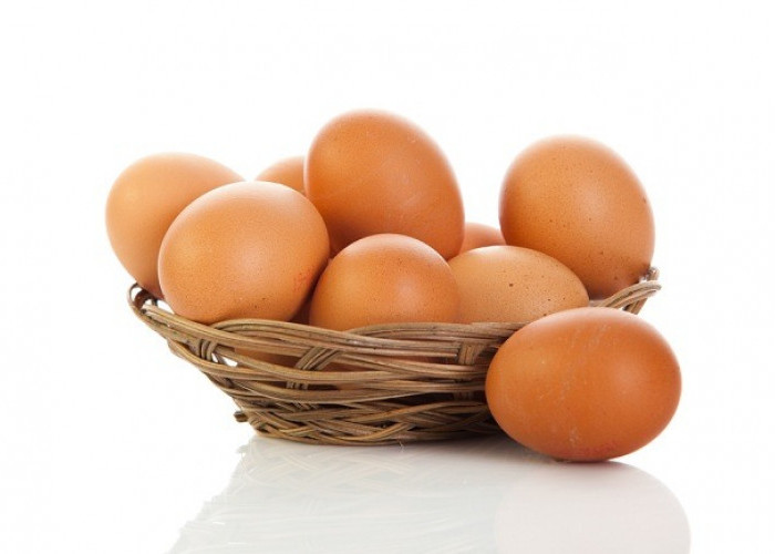 Begini Cara Menyimpan Telur yang Baik dan Benar