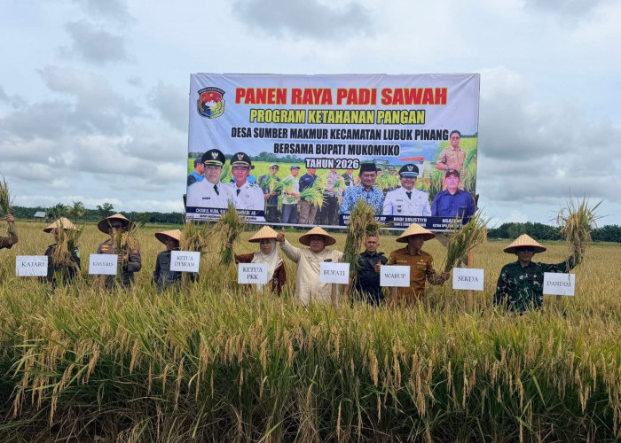 Fokus DAK 2027, Mukomuko Targetkan Punya Penggilingan Padi Modern di Lubuk Pinang