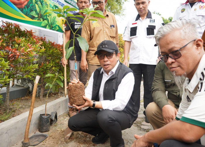 Pemkot Bengkulu Tanam 400 Bibit Alpukat di Kebun Tebeng, Dorong Lingkungan Hijau dan Ekonomi Warga