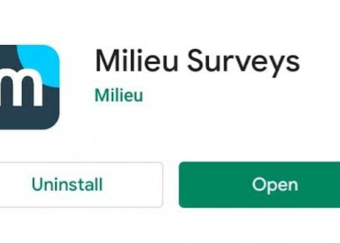 Dijamin Membayar Saldo DANA Gratis Rp100.000, Begini Cara Kerja Milieu Surveys