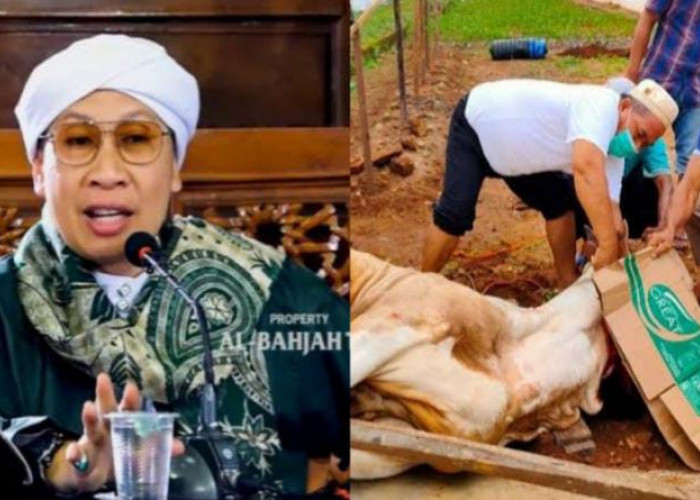 Saat Belum Memiliki Rumah, Mana yang Didahulukan, Beli Hunian atau Justri Kurban? Ini Jawaban Buya Yahya
