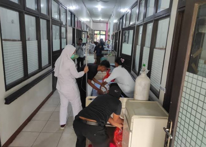 Kakak-Adik Warga Sawah Lebar Baru Meninggal Dunia Akibat DBD, Kasus Suspek Capai 148