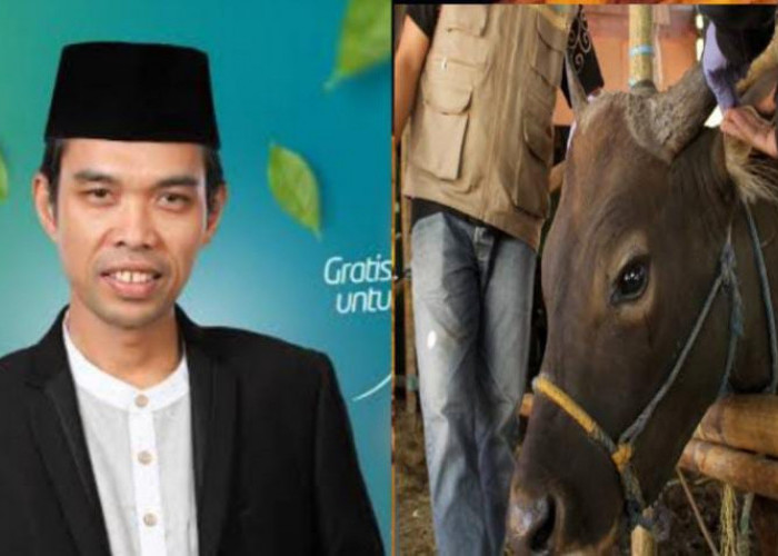 Bolehkah Menyembelih Hewan Kurban di Malam Hari, Ini Kata Ustaz Abdul Somad