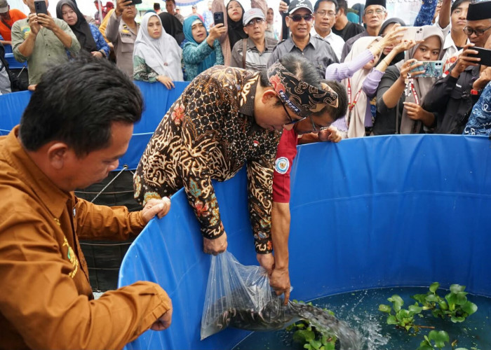 Walikota Bengkulu Apresiasi Pengelolaan Sampah Berbasis Maggot di Kebun Tebeng