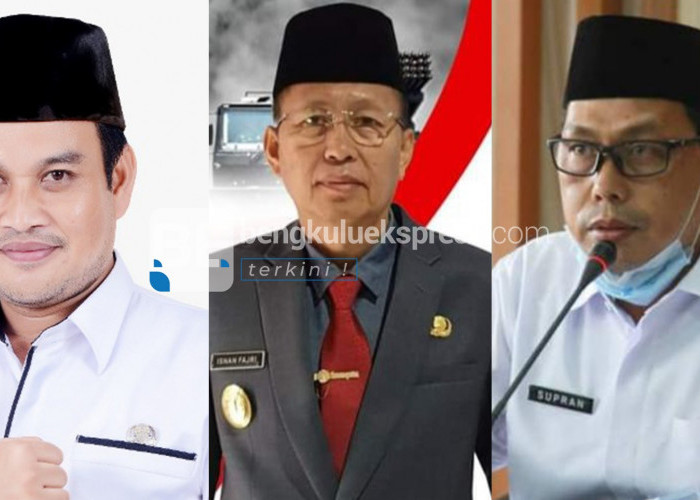 Ini Profil Singkat 3 Calon Sekda Provinsi Bengkulu, Ketiganya Dekat dengan Gubernur