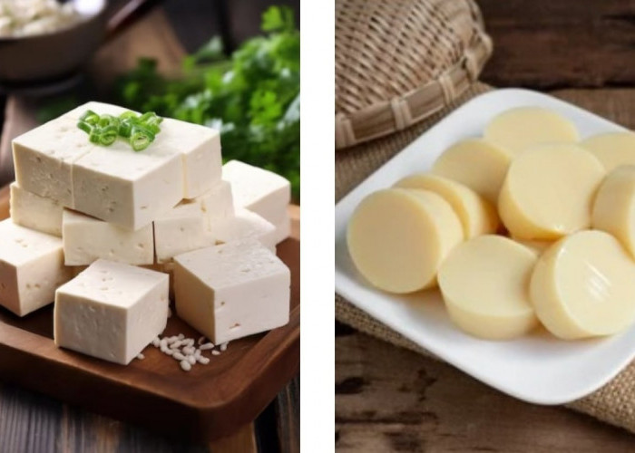 Sering Dianggap Sama, Tahu dan Tofu Ternyata Punya Perbedaan