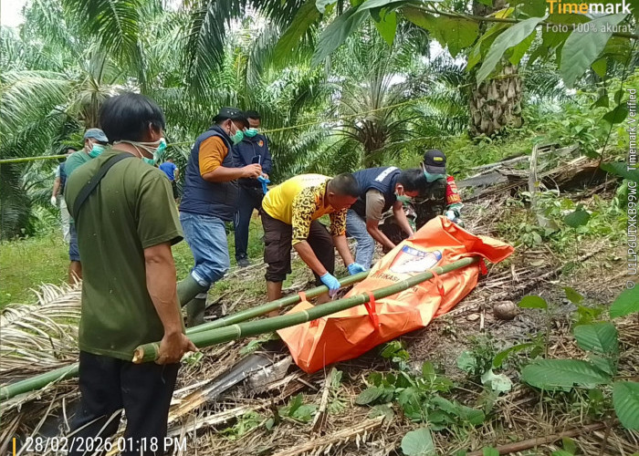 Penemuan Jenazah di Perkebunan Sawit Kaur, Terungkap dari Aroma Menyengat