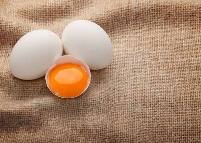 Ini Dia Tips Sehat Mengonsumsi Kuning Telur