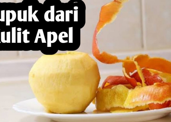 Manfaat Kulit Apel, Bagus Digunakan Sebagai Bahan Pembuatan Pupuk Organik