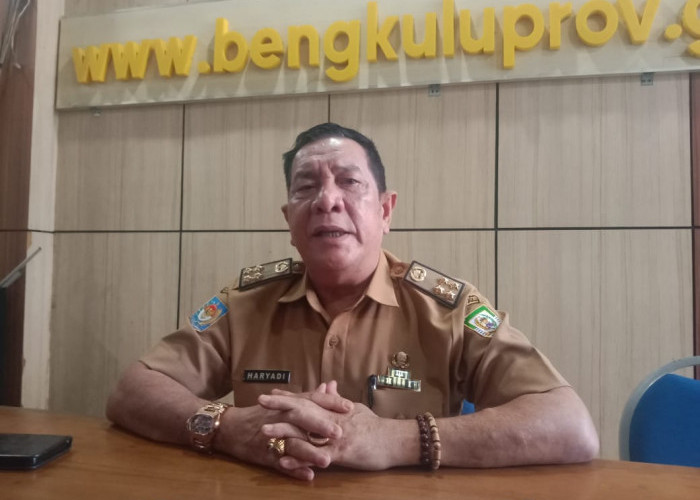 Pemprov Bengkulu Larang OPD Pasang Papan Ucapan Pelantikan Gubernur, Sekda: Fokus Bantu Rakyat q