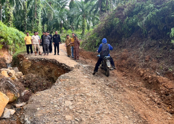 Perbaikan Mendesak, Bupati Seluma Minta PUPR dan BPBD Lakukan Kajian Teknis Jalan Amblas Akibat Hujan