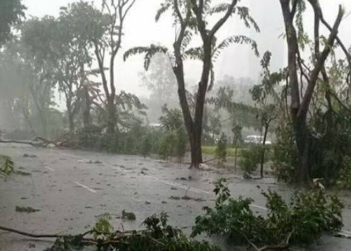 BMKG Sebut Selama Nataru Kondisi Cuaca Ekstrem, Hujan Deras dan Angin Kencang