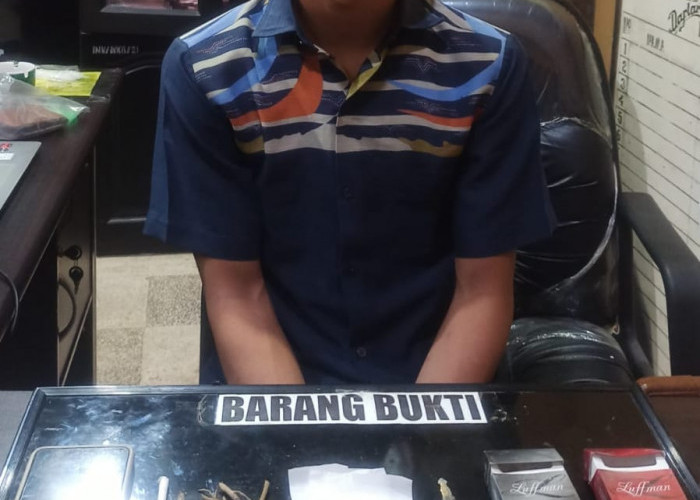 Pedagang di Kota Bengkulu Ditangkap Saat Nyimeng Gang Juwita Unib Belakang