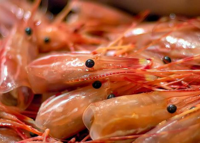 Jangan Dulu Dibuang, Kenali 5 Manfaat Kulit Udang untuk Kesehatan yang Sayang Dilewatkan 