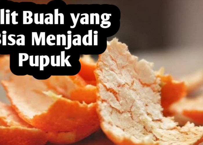 Jangan Dibuang, Ini 7 Kulit Buah yang Bisa Dijadikan Pupuk Tanaman