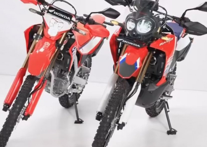 CRF250 Family: Motor Adventure Tangguh untuk Medan Ekstrem dan Beraspal